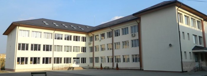 Liceul Teoretic Carei