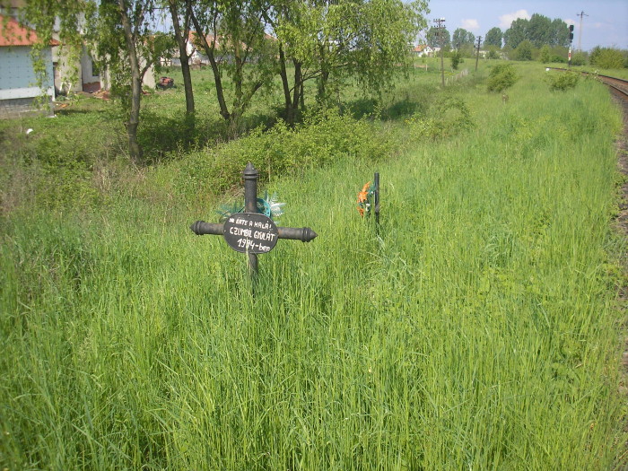 MORTAL. Crucile de lângă calea ferată de la Carei - Căpleni ”vorbesc” despre pericolul iminent