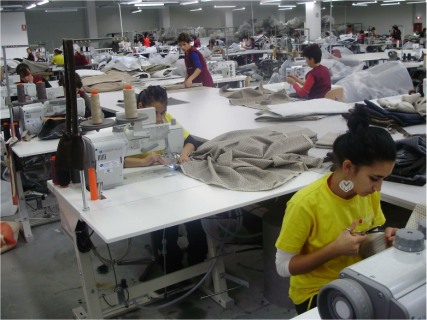 polipol Carei invatamant dual