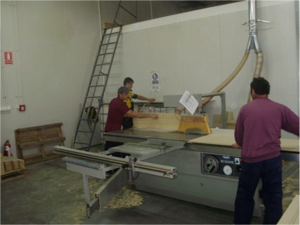 polipol Carei invatamant dual