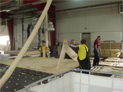 polipol Carei invatamant dual