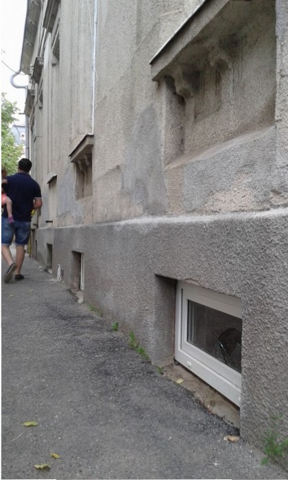 geam spart udmr satu mare