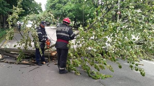 copac pompieri satu mare