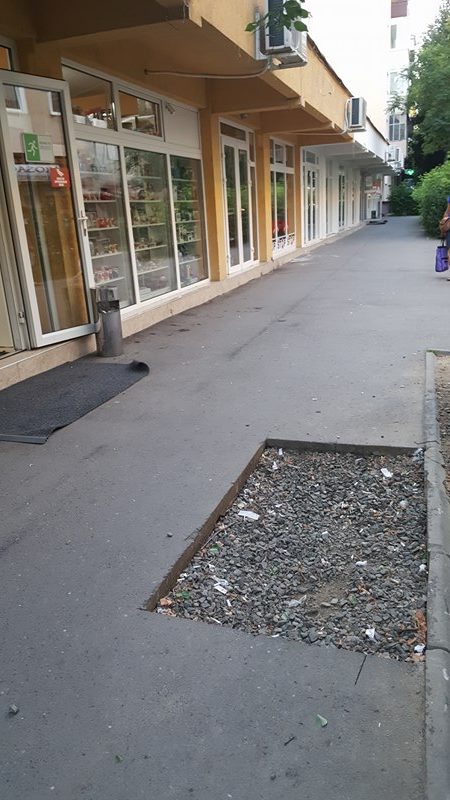 aleea universului satu mare