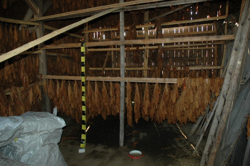 fabrica tigari01