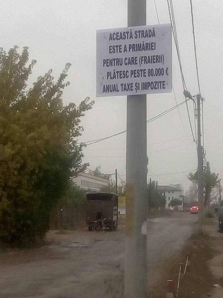 14694768_1391229417574178_178120822_n