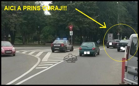 politia-locala-satu-mare13