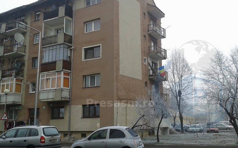 patriotism-tricolor-satu-mare-3