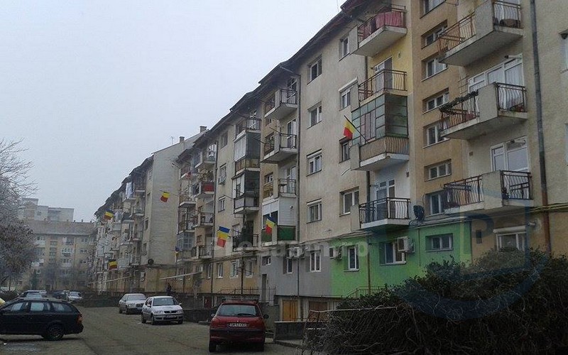 patriotism-tricolor-satu-mare-4