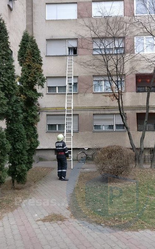 pompieri-satu-mare15666275_1510508285644248_1254155491_n