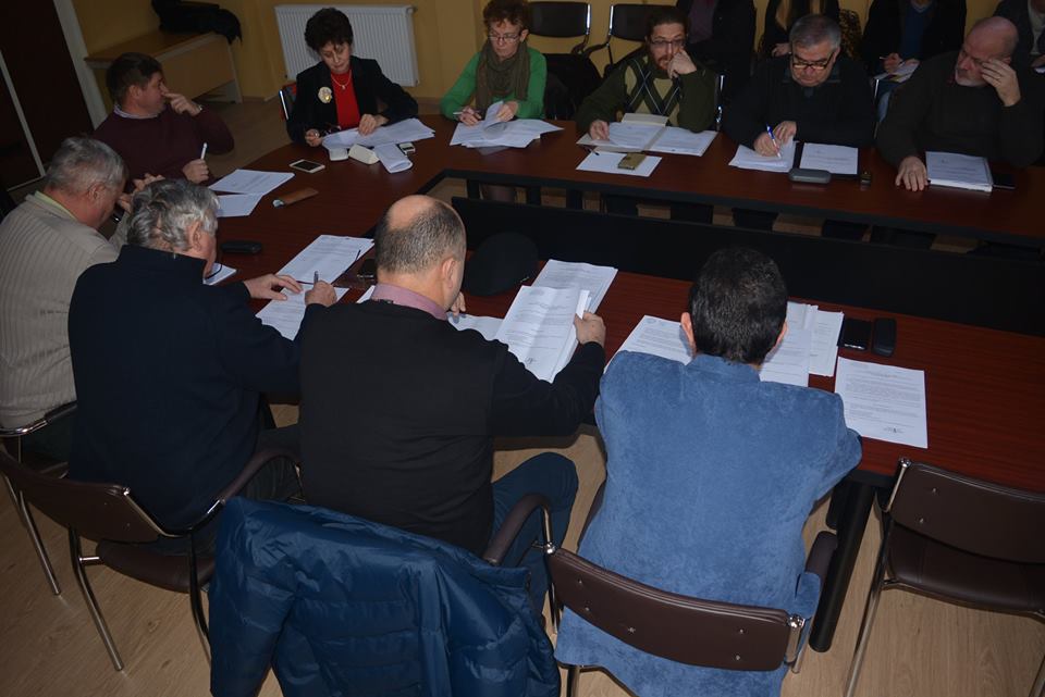 consiliul local carei