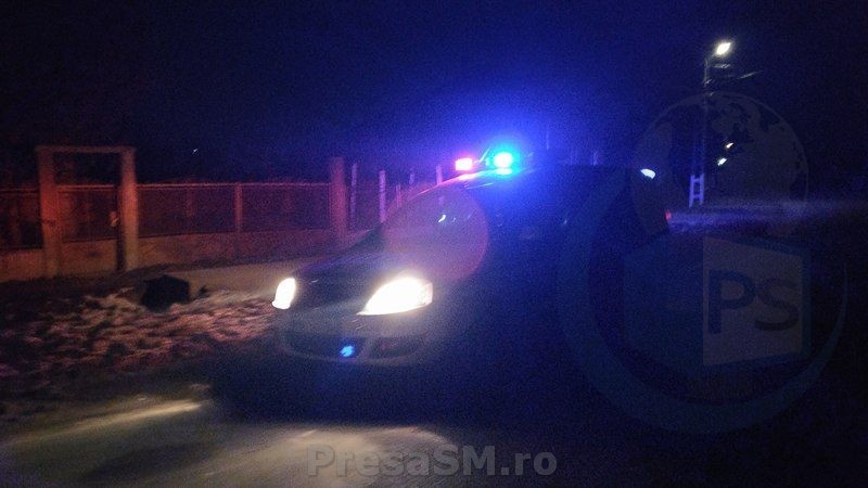 15978441_1880976208804903_181396763_n