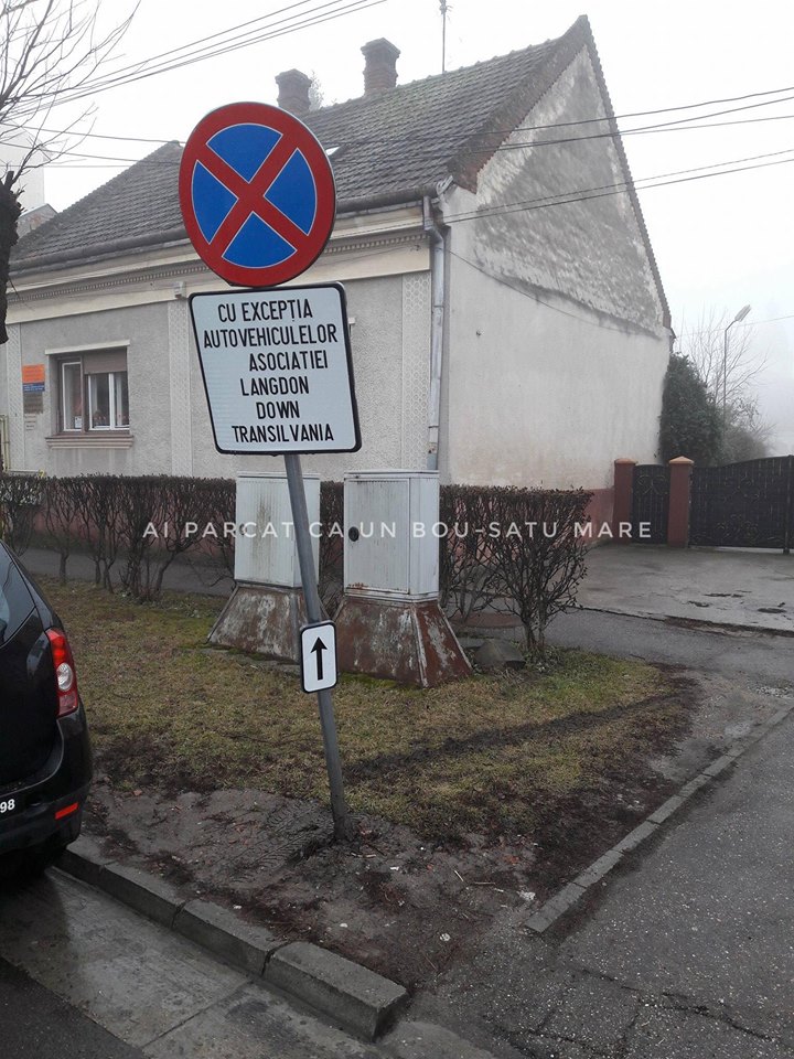 16864468_1910132195874557_8084944712237078696_n