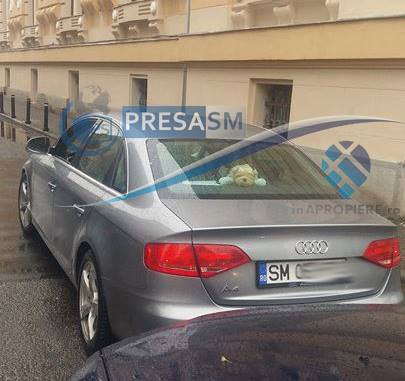 parcare tupeu satu mare