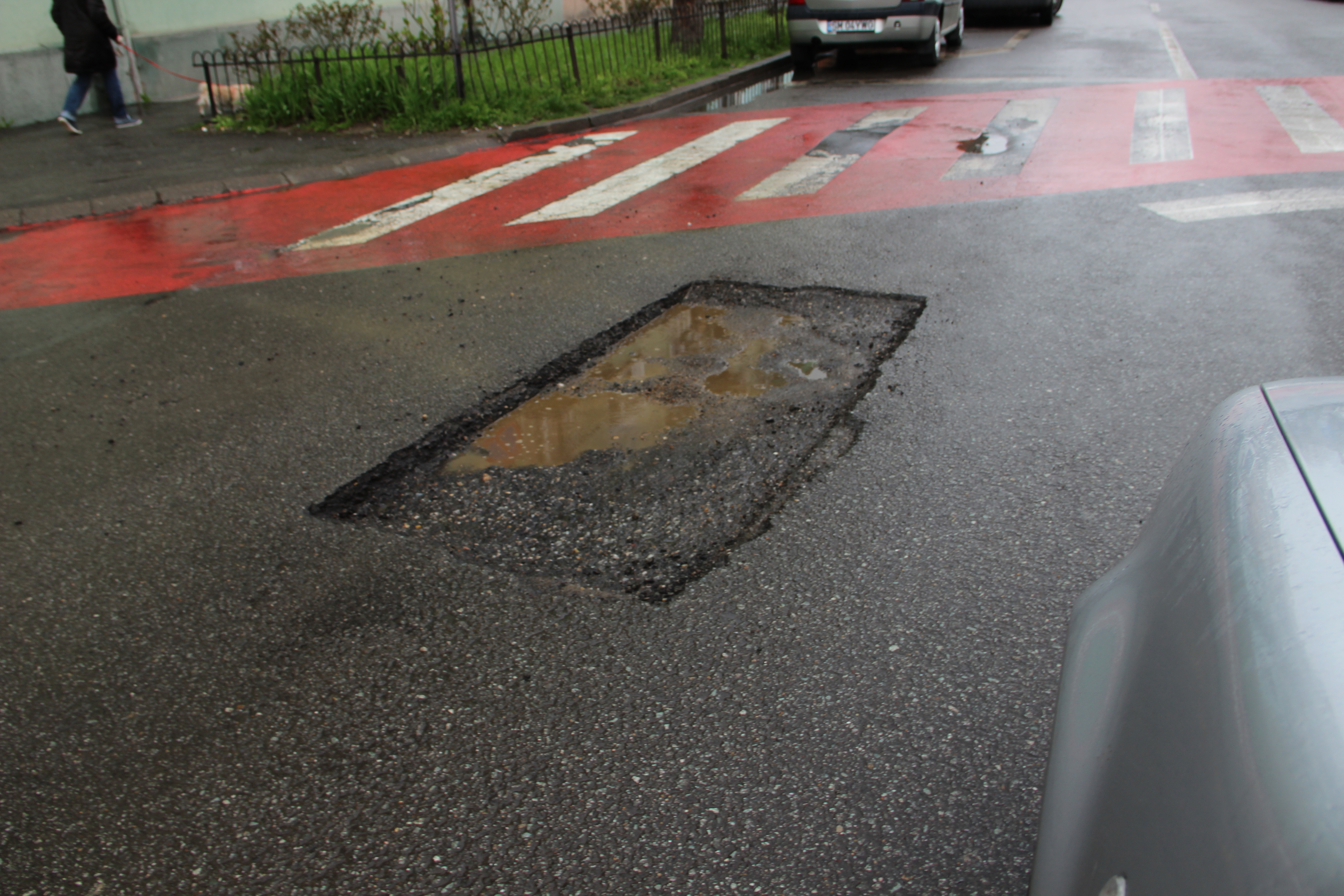 O firmă din Cluj a CÂȘTIGAT lucrările de ASFALTARE în Satu Mare. Tehnic Asist și Primăria Satu Mare au pierdut PROCESUL