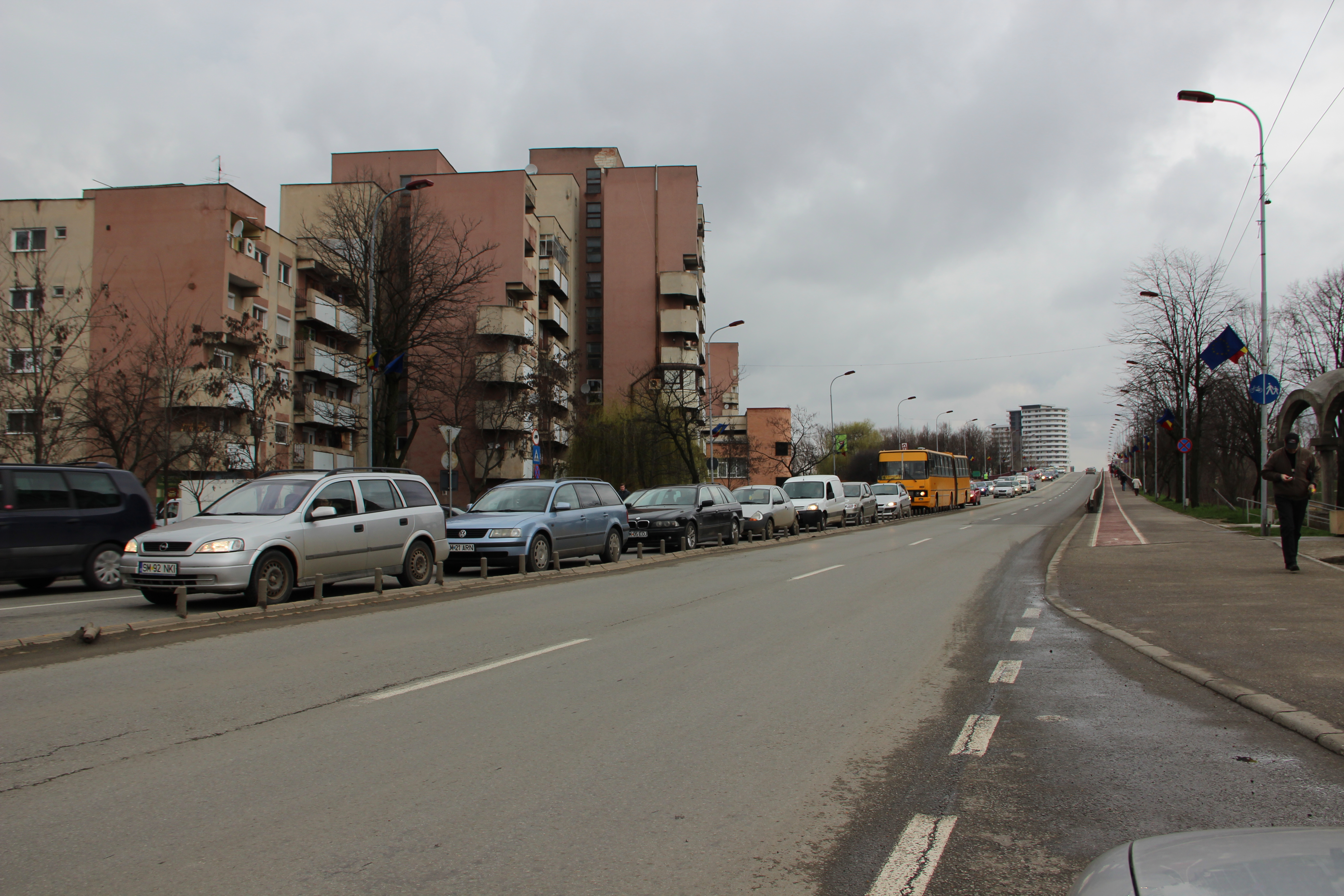 O parte din Drumul Careiului va fi decontaminat. Poluarea depășește de două ori limitele admise