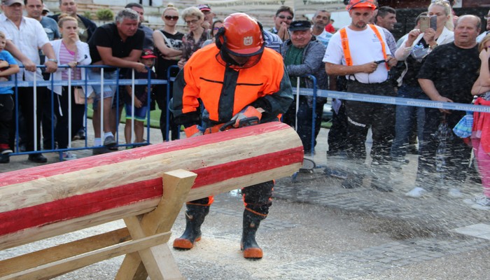 Concurs SPECTACULOS de tăiat lemne în centrul Sătmarului. Show cu DRUJBA (FOTO&VIDEO)