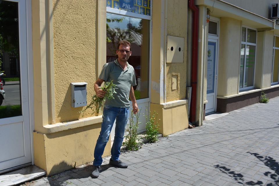 Protest CIVIC! Jurnaliștii careieni au făcut CURĂȚENIE în fața sediului PNL! (FOTO)