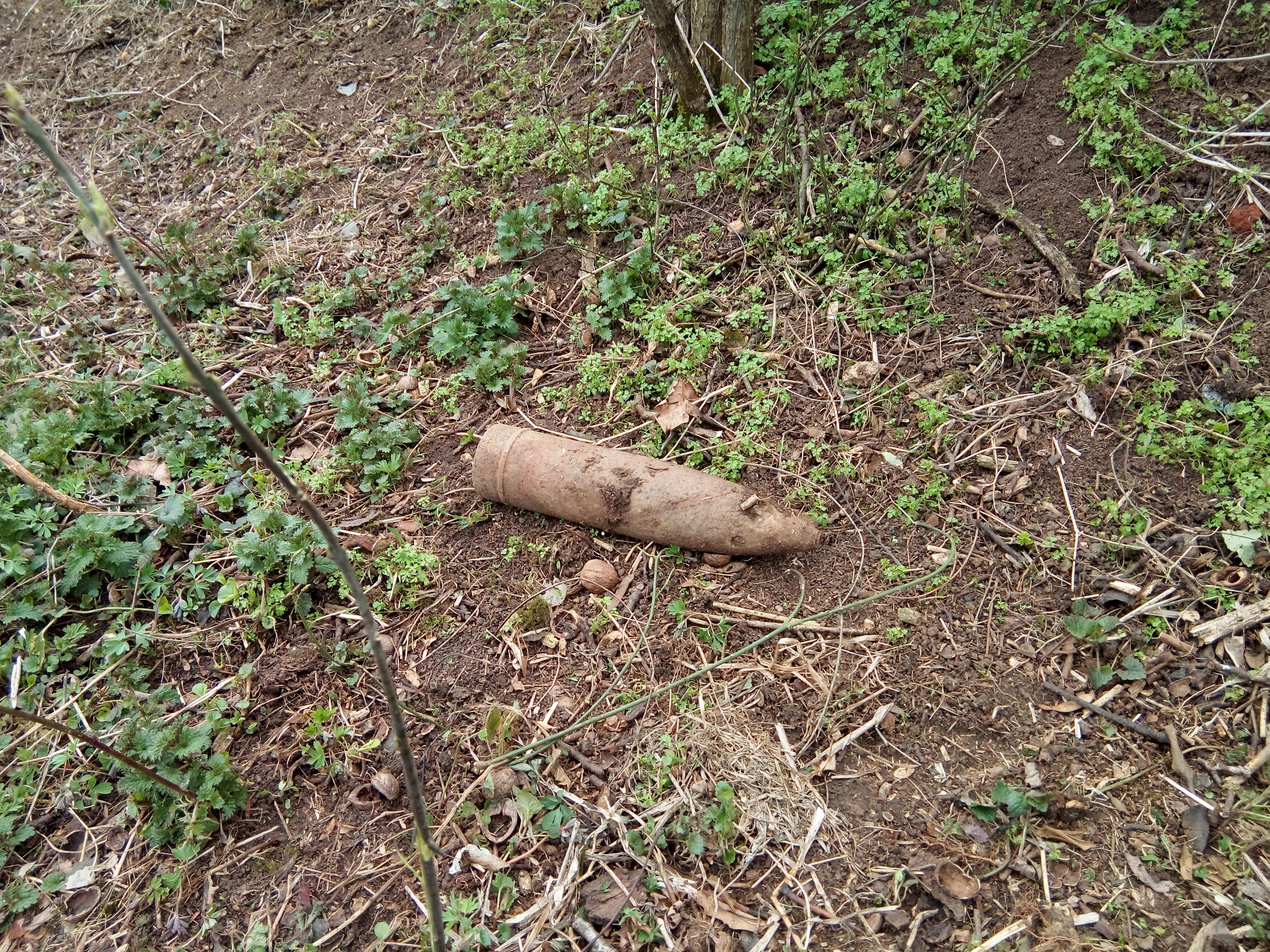 FOTO. Bombă descoperită pe un teren de lângă Tășnad