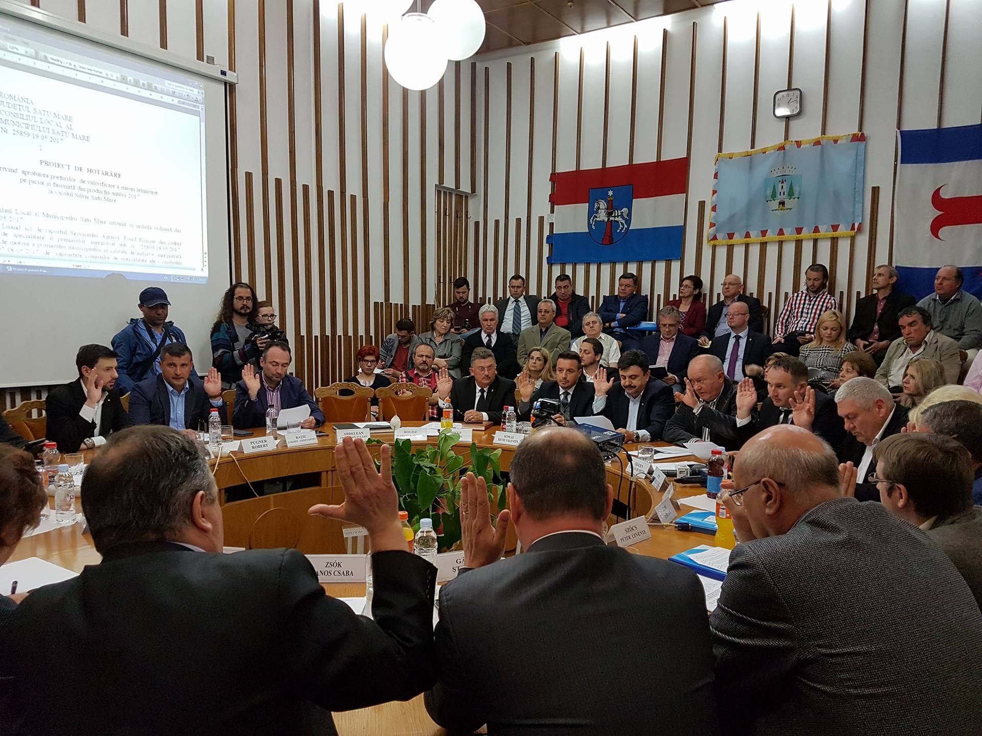 Primăria Satu Mare, amendată pentru introducerea abuzivă a limbii maghiare