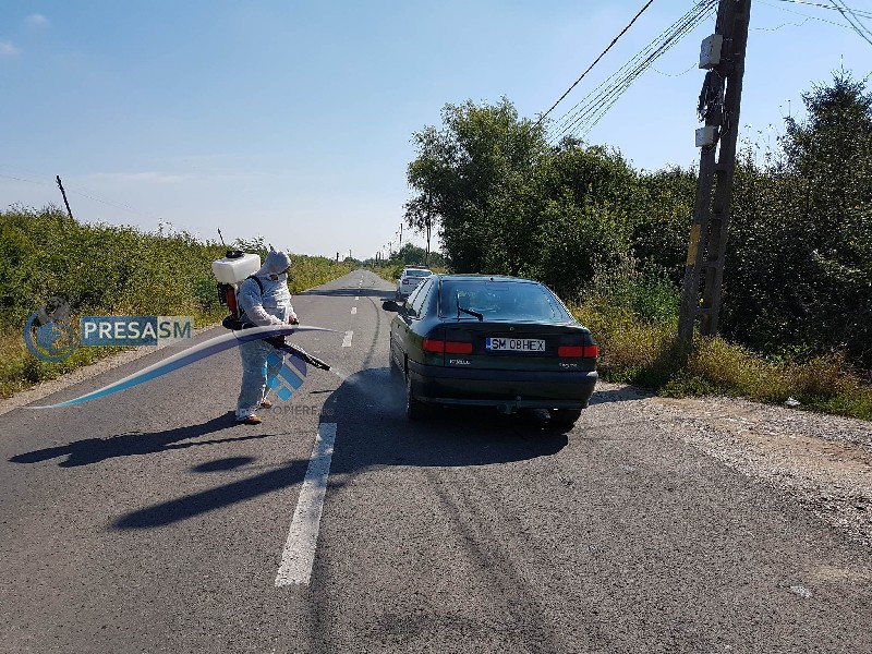 La un pas de dezastru! Virus mortal și măsuri drastice în județul Satu Mare