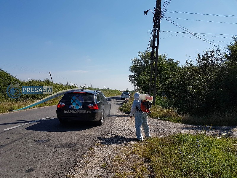 Veterinar sătmărean, amendă drastică pentru sfidarea autorităților
