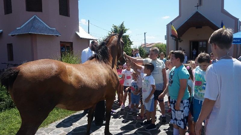 FOTO. Biserica Ortodoxă face și caritate. Zeci de copii în vacanță în Satu Mare