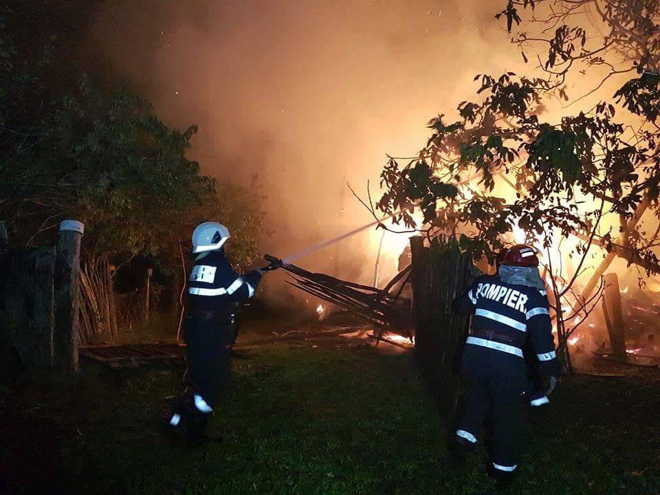 FOTOGALERIE. ZECI de animale arse de vii într-un incendiu