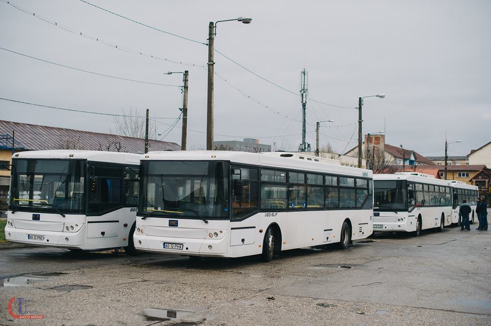FOTOGALERIE. Au sosit noile autobuze Transurban! Condiții mai bune de transport