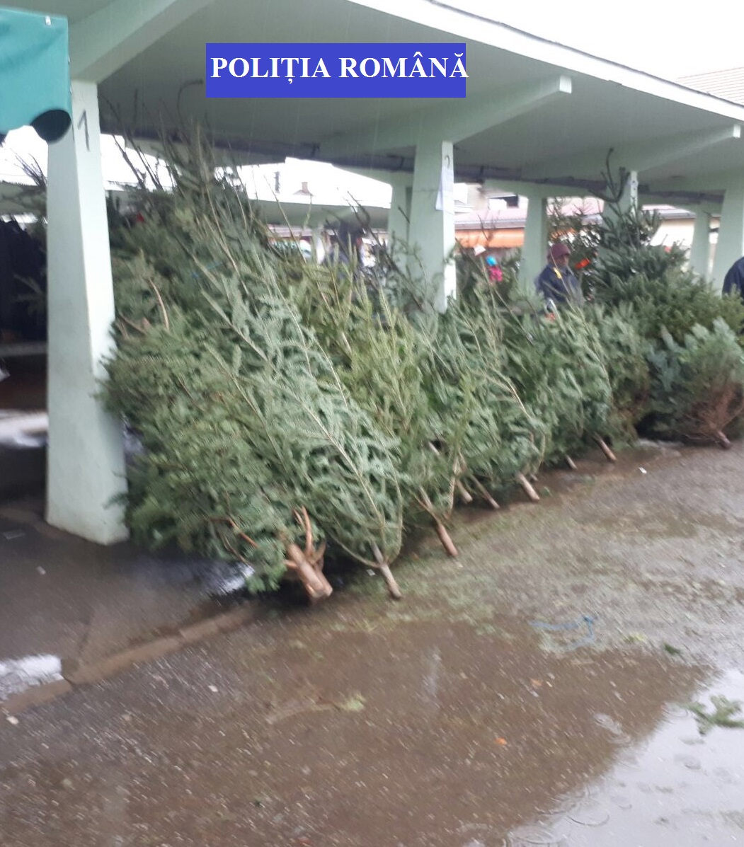 FOTOGALERIE. Sute de brazi confiscați de polițiști în piețele din județ! Acțiune masivă