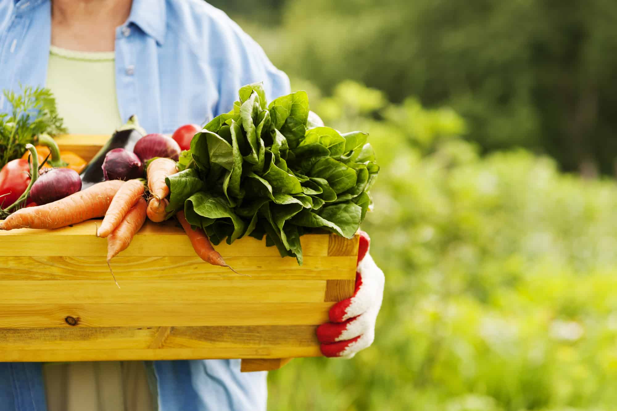 Veganii din Satu Mare se vor bucura de cel mai mare magazin cu produse raw, vegan