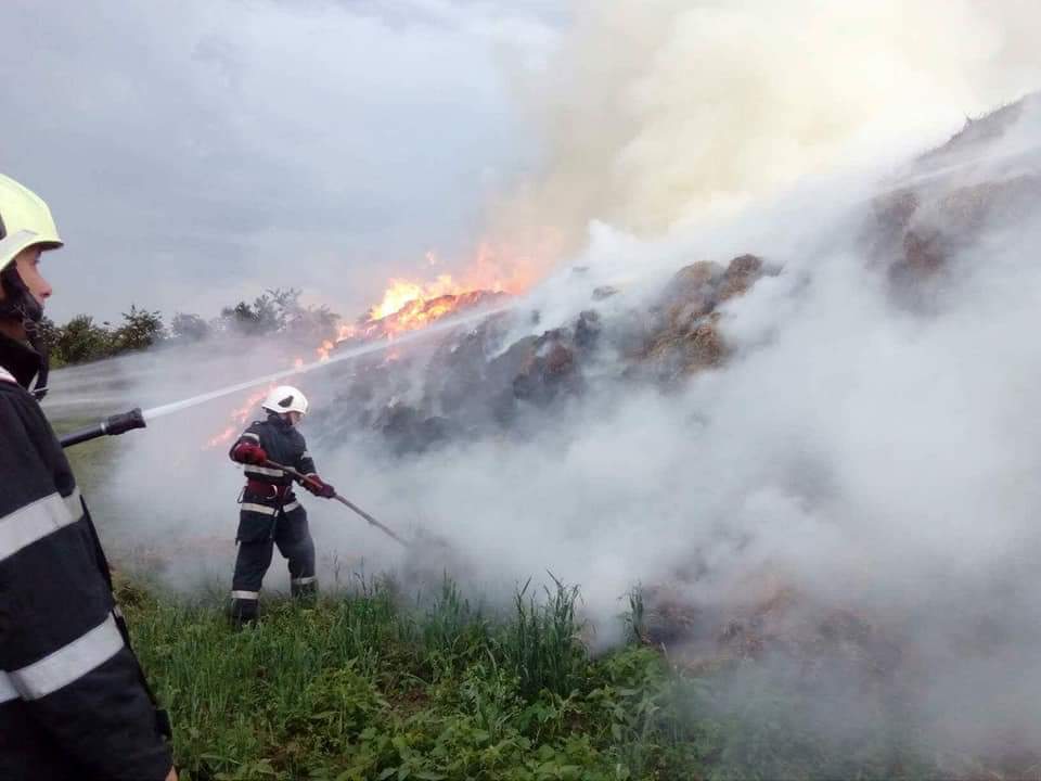 FOTO/VIDEO. Incendiu de amploare în județul Satu Mare. Flăcări pe o mare suprafață
