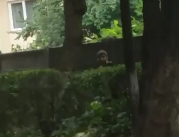 FOTO. Bărbat acuzat de o minoră că o urmărește prin Micro 14. Ar fi lovit o femeie