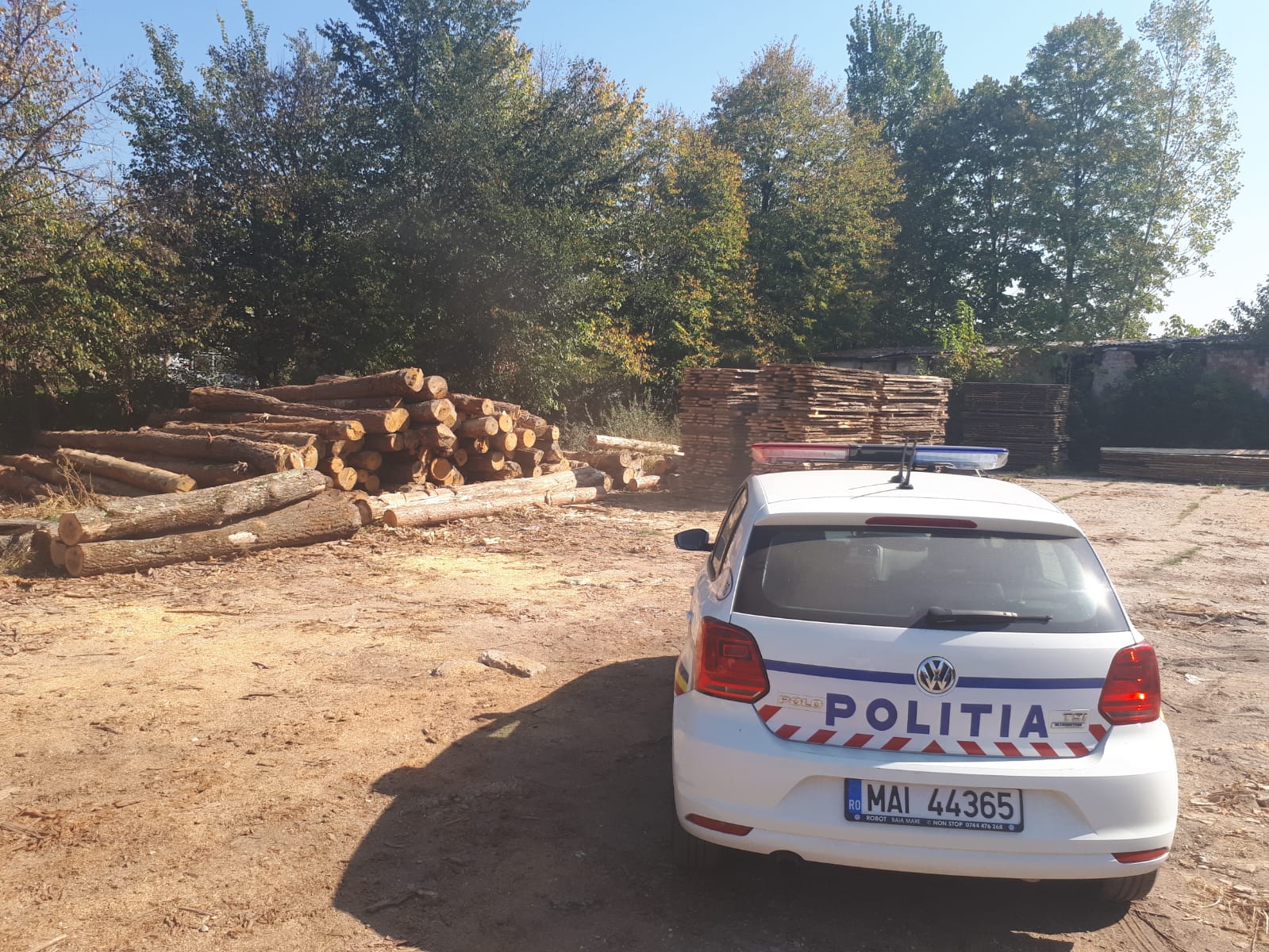 Guvernul a înființat Garda Forestieră Națională. Va lupta împotriva tăierilor ilegale