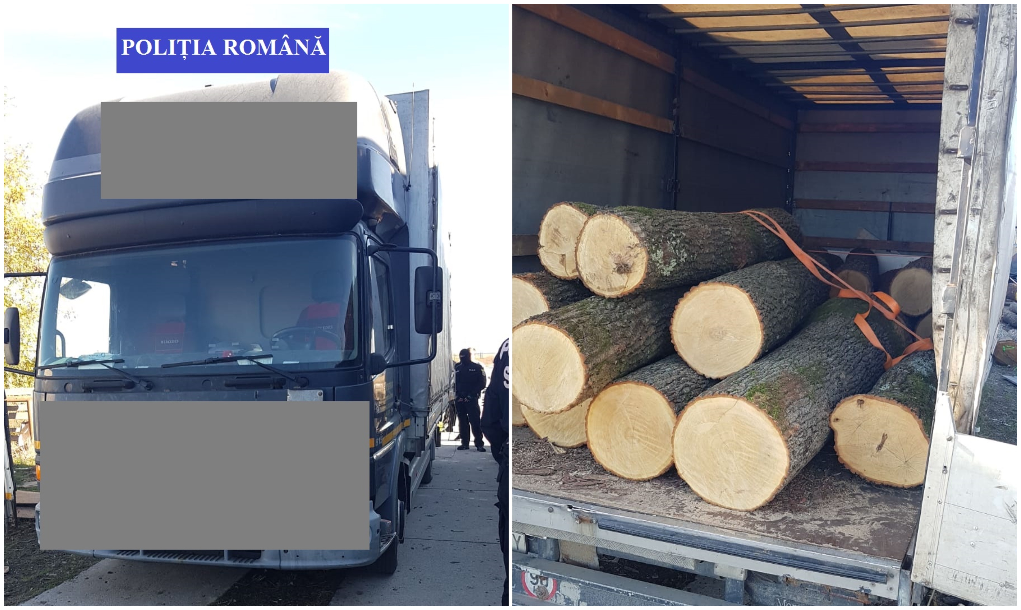 Se fură lemne ca-n codru în județ! Hoții le vând direct la fabricile de mobilă