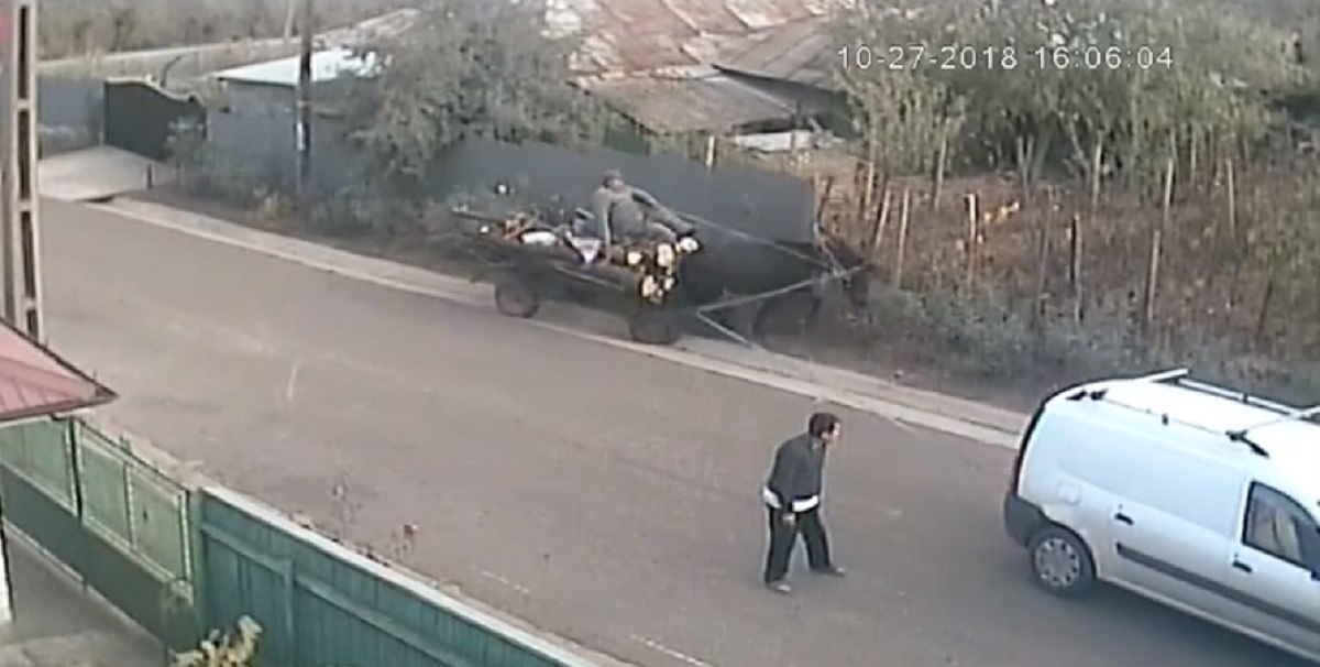 VIRAL. Scene rupte parcă din filmele de comedie: Stai beat in mijlocul drumului?