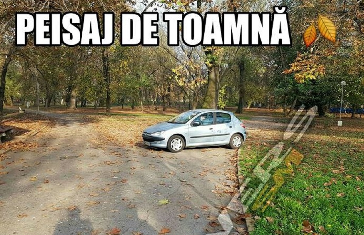 FOTO. ”Nou” în Satu Mare! Cu mașina pe aleile Grădinii Romei