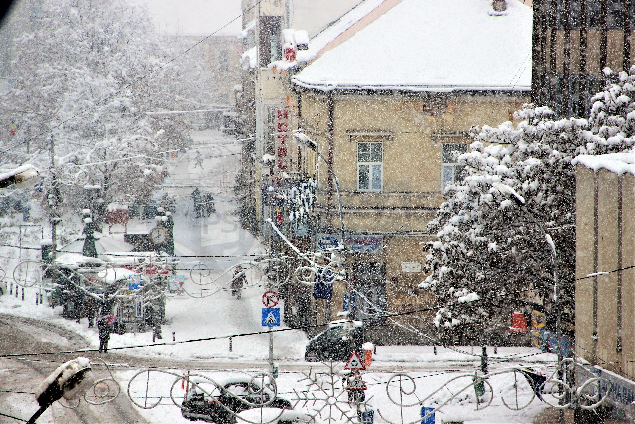 Vin ninsorile în județul Satu Mare. Prognoza pentru următoarele zile