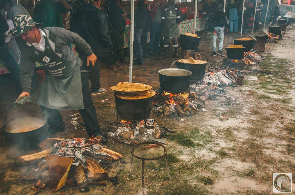 Urmează un festival pescăresc în județul Satu Mare! Zeci de bucătari vor găti specialități din pește
