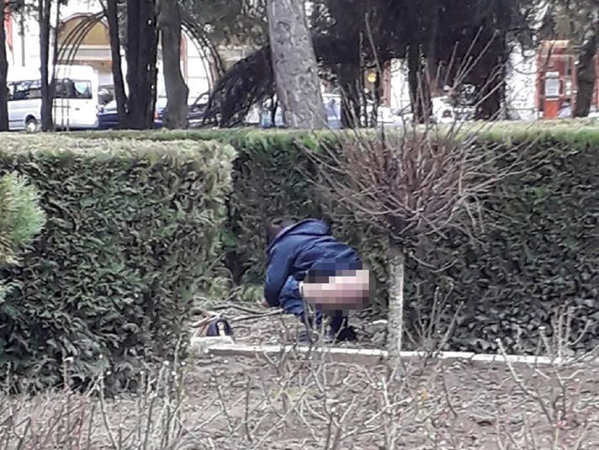 Poliția Locală, reacție în urma scenei surprinse în Parcul Central