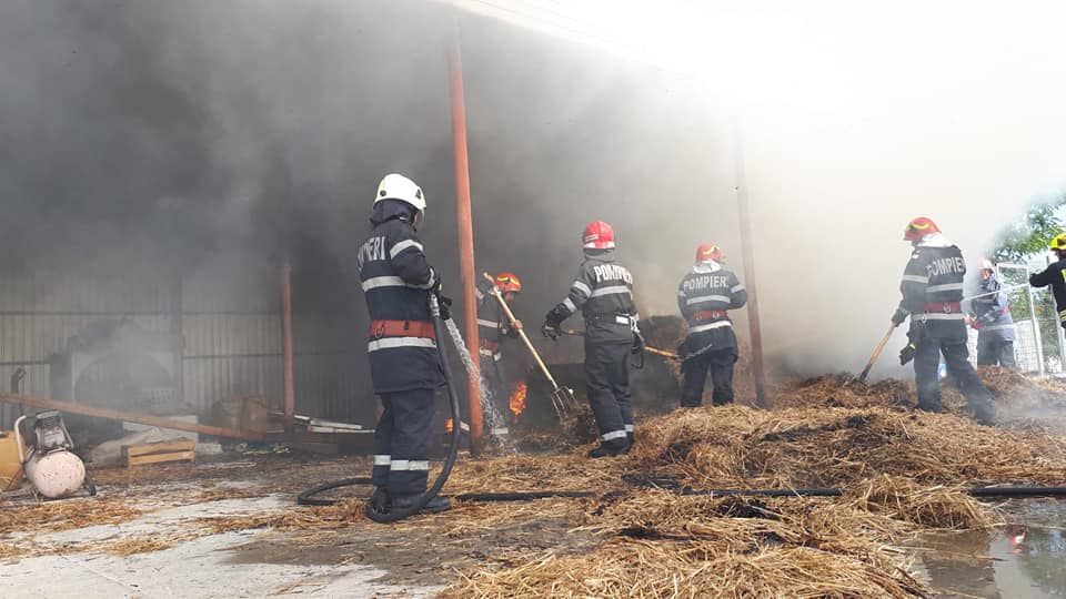FOTO. Foc pe caniculă. Intervenție dificilă a pompierilor în județul Satu Mare