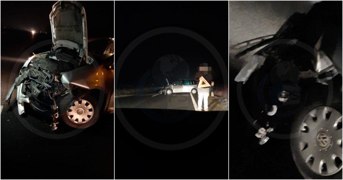 FOTOGALERIE. Un sătmărean a lovit cu mașina în plin un animal. Circulație blocată pe DN 19A