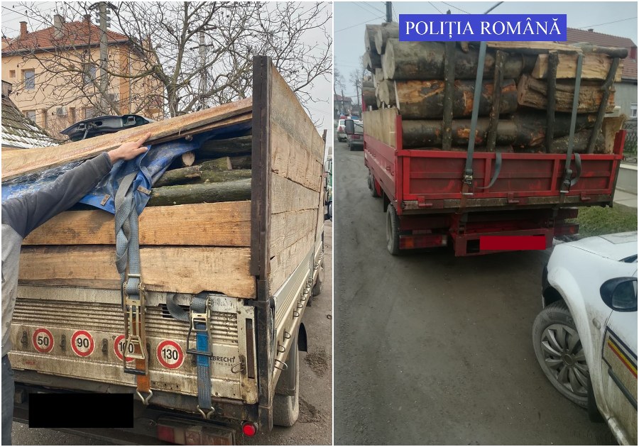 Filtre pentru prinderea hoților de lemne, în Țara Oașului