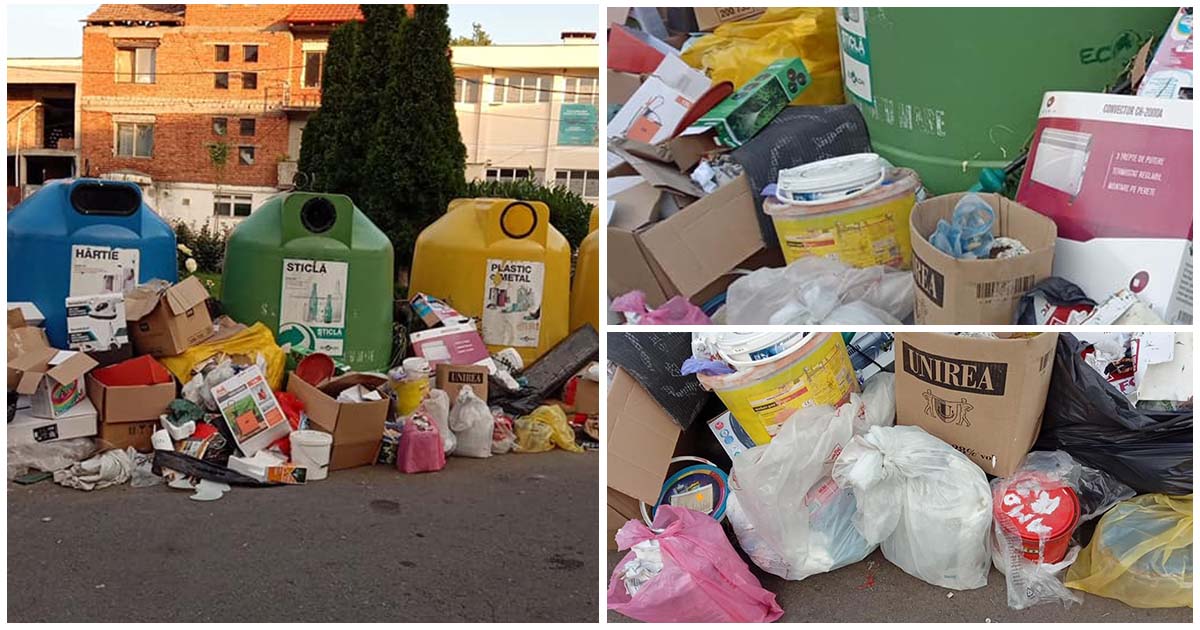 Primăria Satu Mare: amenzi de 2.500 de lei pentru cei care aruncă deșeurile la întâmplare!