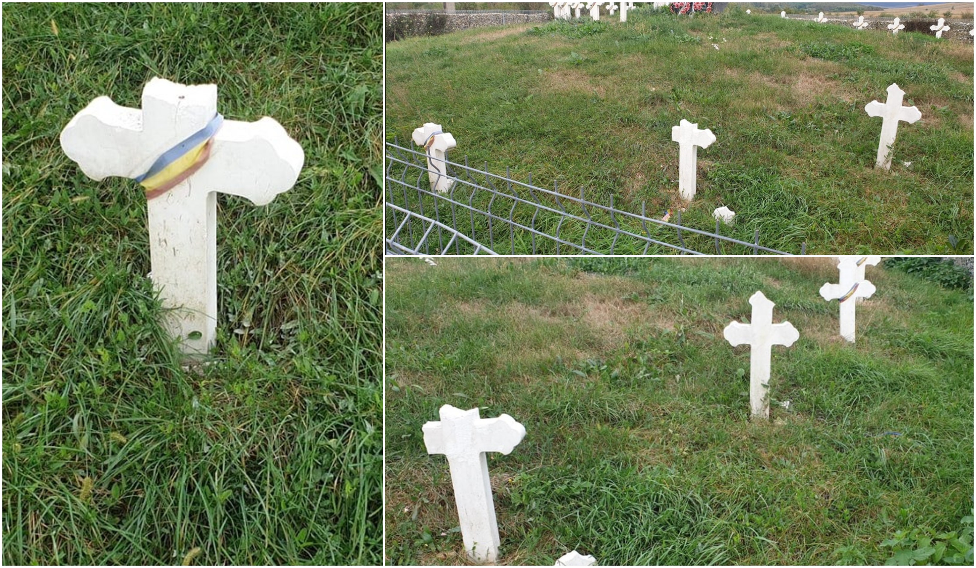 FOTOGALERIE. Minor (12 ani) acuzat de profanare de morminte. A distrus mai multe cruci în județul Satu Mare