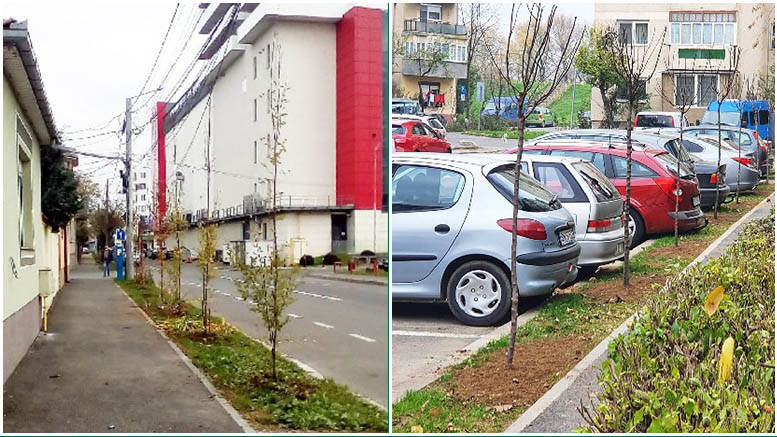 FOTO. Tovább zöldül a város!