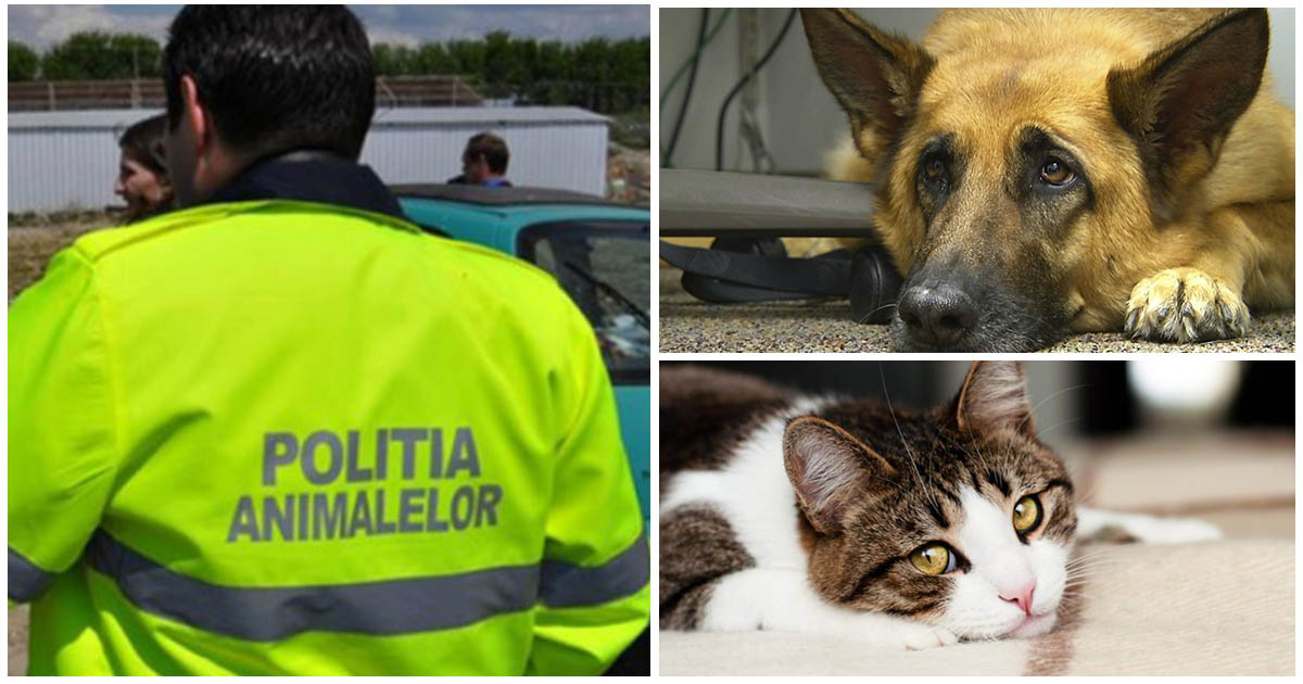 Poliția Animalelor își începe activitatea, de astăzi, în județul Satu Mare