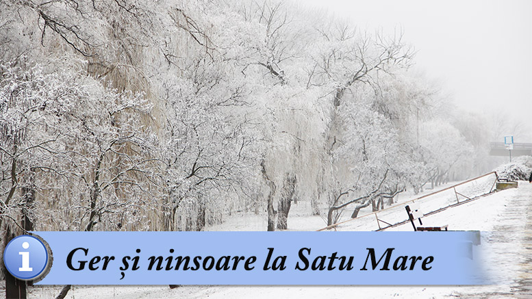 Școli închise în județul Satu Mare din cauza ninsorilor abundente