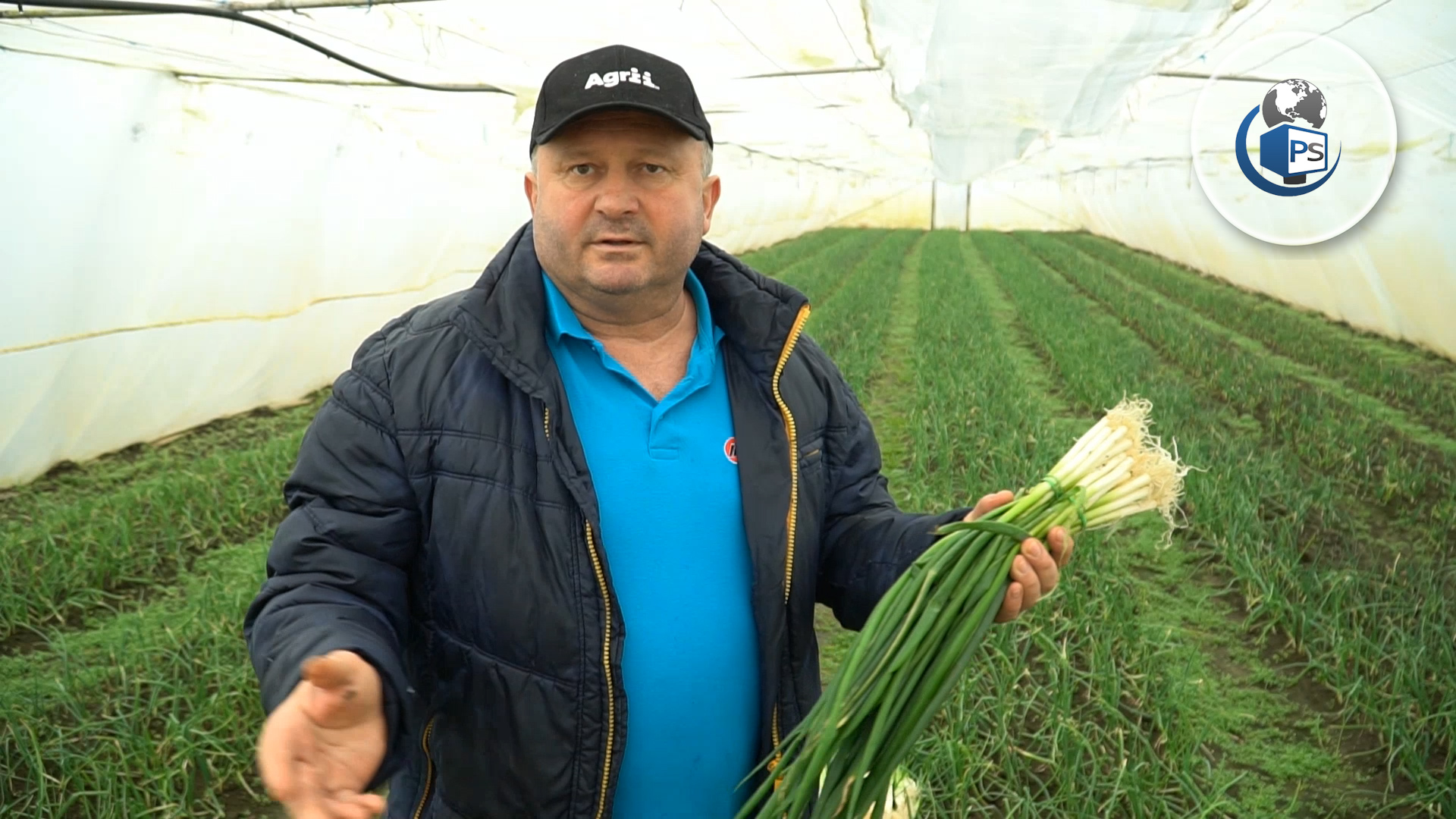 VIDEÓRIPORT. Szatmár büszkesége: Bio hagyma, retek, paradicsom, egyenesen a helyi termelőtől