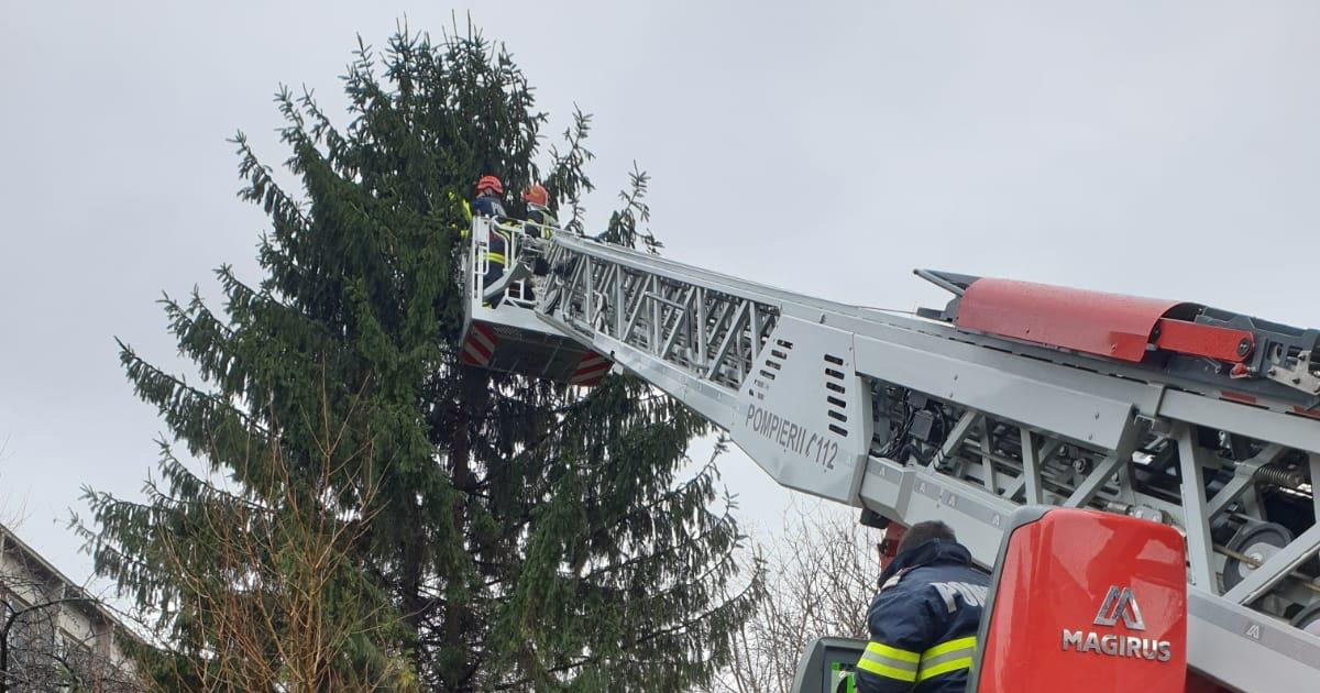 FOTO. Cicát mentettek a tűzoltók